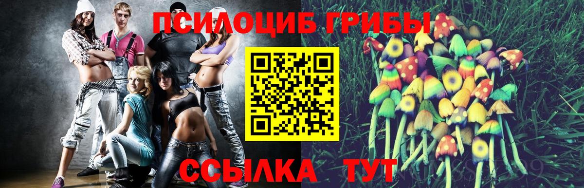 Отрадное  Псилоцибиновые грибы прущие грибы  Псилоцибиновые грибы Psilocybine cubensis  Вход с VPN 